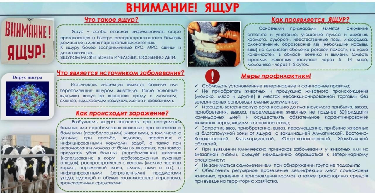 <strong>Памятка для населения Ящур</strong>