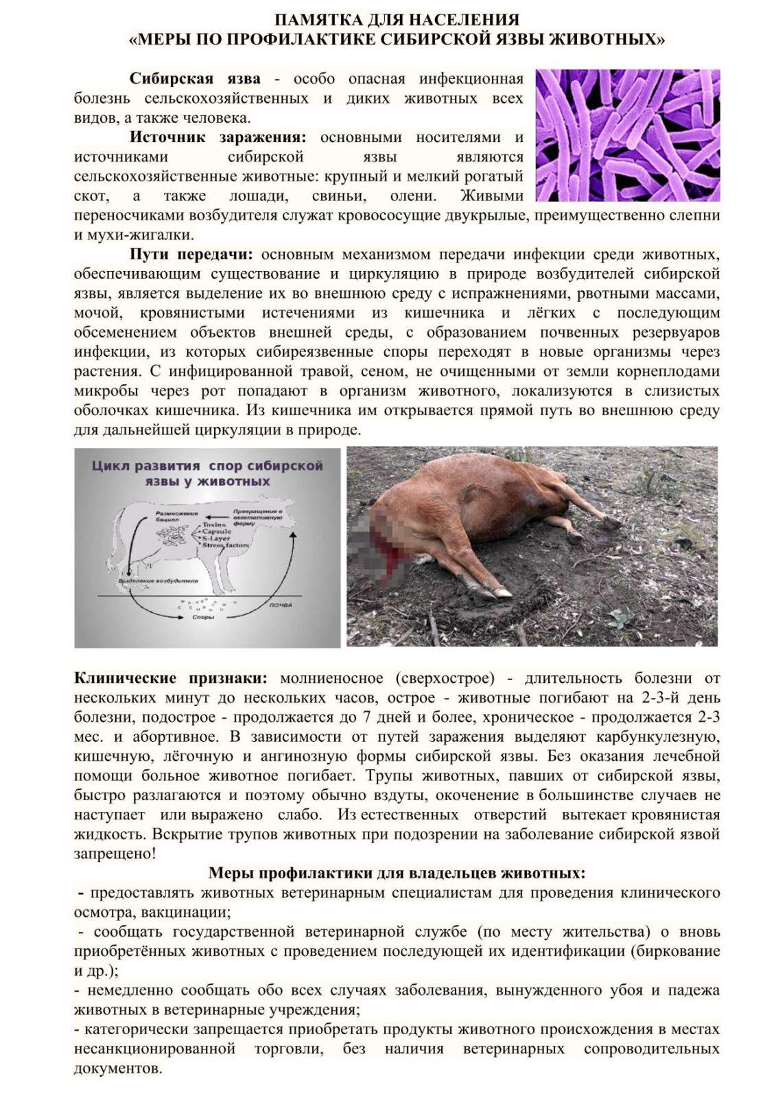 Памятка Сибирская язва